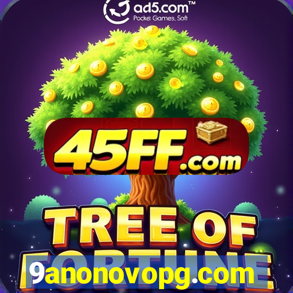 9anonovopg.com
