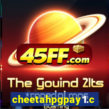 cheetahpgpay1.com