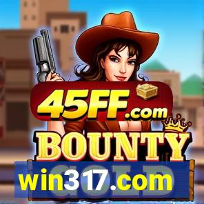 win317.com