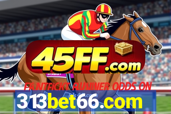 313bet66.com