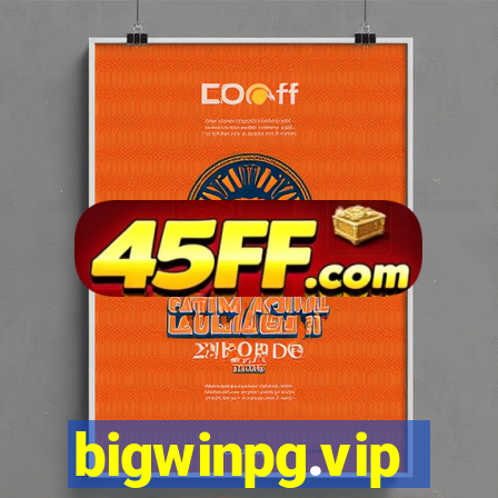 bigwinpg.vip
