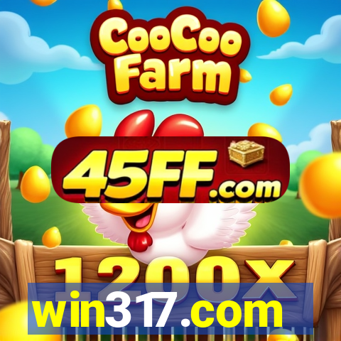 win317.com